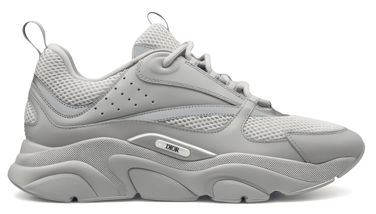 DIOR 'B22 GREY'
