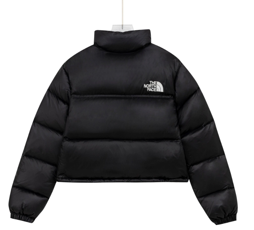 Chaqueta Nuptse 1996