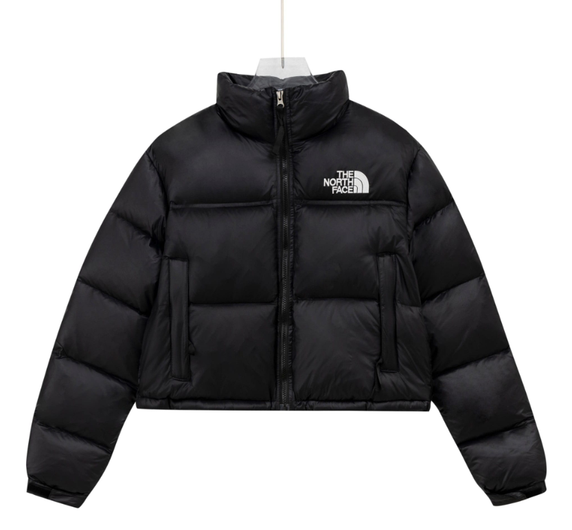 Chaqueta Nuptse 1996